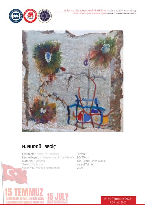 H. NURGÜL BEGİÇ